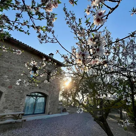 Ca L'Artigalas Cardona Exterior photo