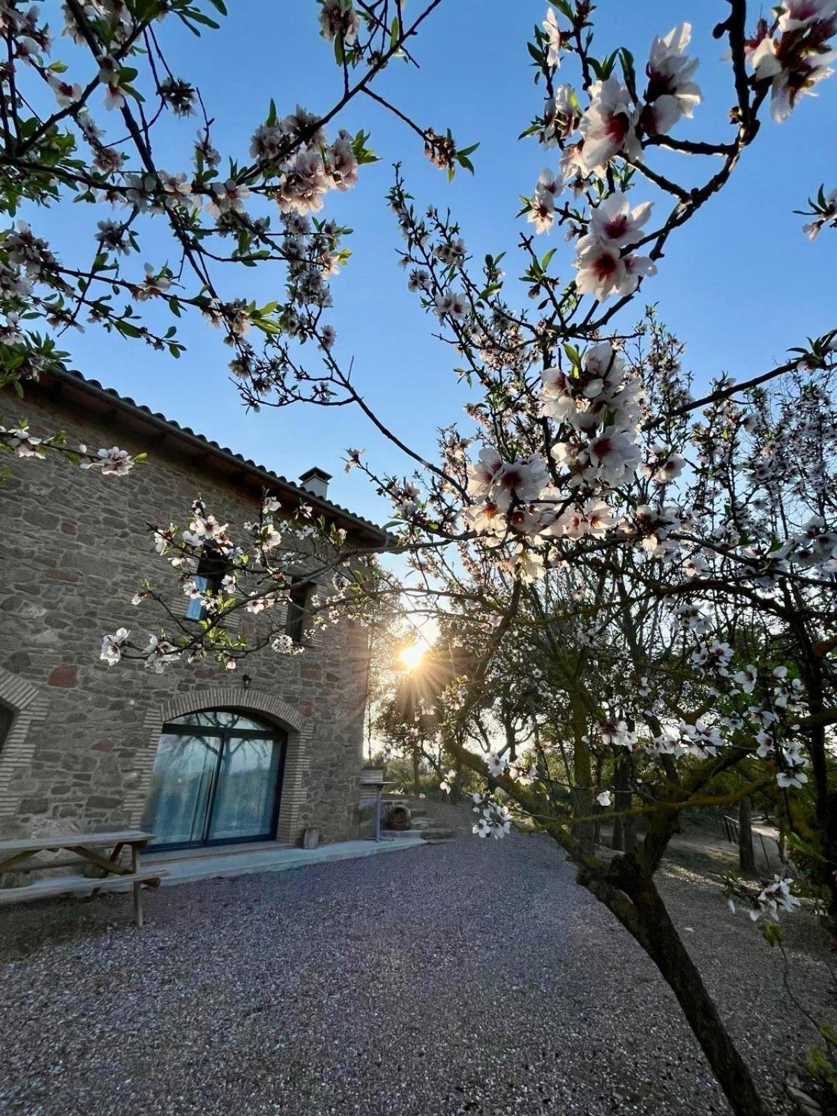 Ca L'artigalas Villa *